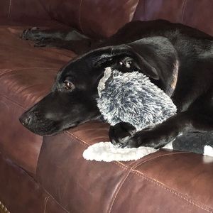 Meet your Posher, Heather